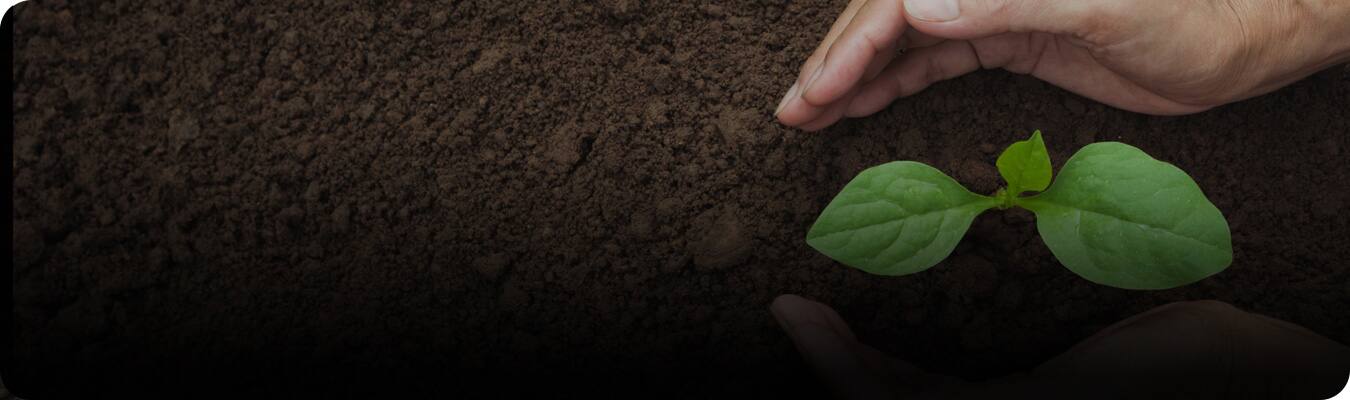 Produse sustenabile pentru igiena dentară