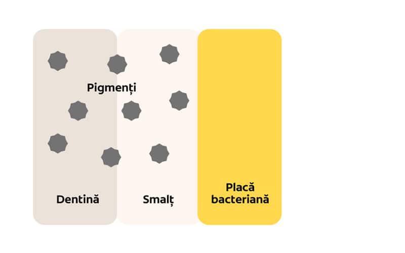 Bacterii cromogene Dentină Smalț 