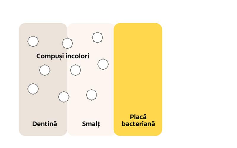 Compuși incolori Dentină Smalț Placă bacteriană