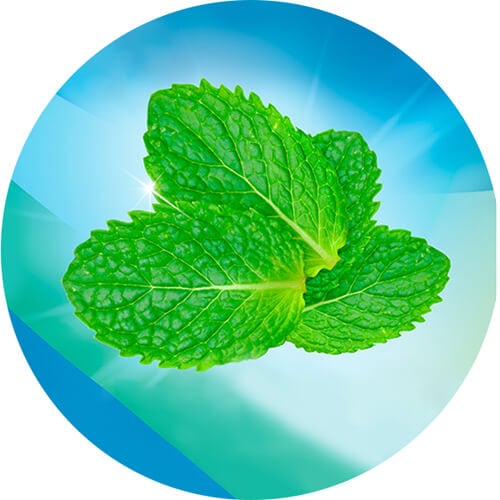 Respiraţie proaspătă